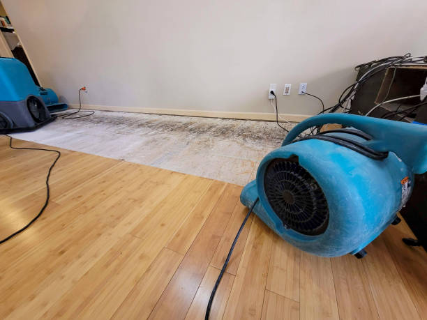 Professional Water Removal technician working in Arcadia, FL